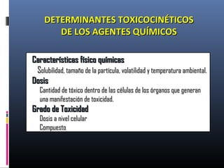 Características físico químicasCaracterísticas físico químicas
SSolubilidad, tamaño de la partícula, volatilidad y temperatura ambiental.olubilidad, tamaño de la partícula, volatilidad y temperatura ambiental.
DosisDosis
Cantidad de tóxico dentro de las células de los órganos que generanCantidad de tóxico dentro de las células de los órganos que generan
una manifestación de toxicidad.una manifestación de toxicidad.
Grado de ToxicidadGrado de Toxicidad
Dosis a nivel celularDosis a nivel celular
CompuestoCompuesto
DETERMINANTES TOXICOCINÉTICOSDETERMINANTES TOXICOCINÉTICOS
DE LOS AGENTES QUÍMICOSDE LOS AGENTES QUÍMICOS
 