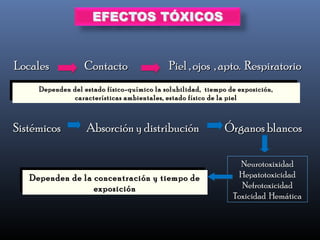 Locales Contacto Piel , ojos , apto. RespiratorioLocales Contacto Piel , ojos , apto. Respiratorio
Sistémicos Absorción y distribución Órganos blancosSistémicos Absorción y distribución Órganos blancos
Dependen de la concentración y tiempo deDependen de la concentración y tiempo de
exposiciónexposición
Dependen de la concentración y tiempo deDependen de la concentración y tiempo de
exposiciónexposición
NeurotoxixidadNeurotoxixidad
HepatotoxicidadHepatotoxicidad
NefrotoxicidadNefrotoxicidad
Toxicidad HemáticaToxicidad Hemática
Dependen del estado físico-químico la solubilidad, tiempo de exposición,Dependen del estado físico-químico la solubilidad, tiempo de exposición,
características ambientales, estado físico de la pielcaracterísticas ambientales, estado físico de la piel
Dependen del estado físico-químico la solubilidad, tiempo de exposición,Dependen del estado físico-químico la solubilidad, tiempo de exposición,
características ambientales, estado físico de la pielcaracterísticas ambientales, estado físico de la piel
 