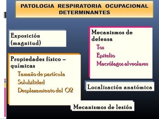 Exposición
(magnitud)
Exposición
(magnitud)
Propiedades físico –Propiedades físico –
químicasquímicas
Tamaño de partículaTamaño de partícula
SolubilidadSolubilidad
Desplazamiento del O2Desplazamiento del O2
Propiedades físico –Propiedades físico –
químicasquímicas
Tamaño de partículaTamaño de partícula
SolubilidadSolubilidad
Desplazamiento del O2Desplazamiento del O2
Mecanismos deMecanismos de
defensadefensa
TosTos
EpitelioEpitelio
Macrófagos alveolaresMacrófagos alveolares
Mecanismos deMecanismos de
defensadefensa
TosTos
EpitelioEpitelio
Macrófagos alveolaresMacrófagos alveolares
Localización anatómicaLocalización anatómica
Mecanismos de lesiónMecanismos de lesiónMecanismos de lesiónMecanismos de lesión
 