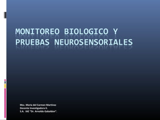Msc. María del Carmen Martínez
Docente Investigadora II.
S.A. IAE “Dr. Arnoldo Gabaldon”.
 