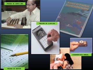 PRUEBA DE BENTONPRUEBA DE BENTON
PRUEBA DE SANTA ANAPRUEBA DE SANTA ANA
TABLERO DE CLAVIJASTABLERO DE CLAVIJAS
DINAMOMETRÍA MANUALDINAMOMETRÍA MANUAL
 