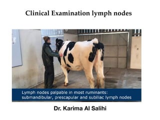 Clinical Examination lymph nodes
Dr. Karima Al Salihi
 