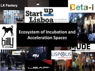 Ecosystem of Incubation and 
    Acceleration Spaces
 