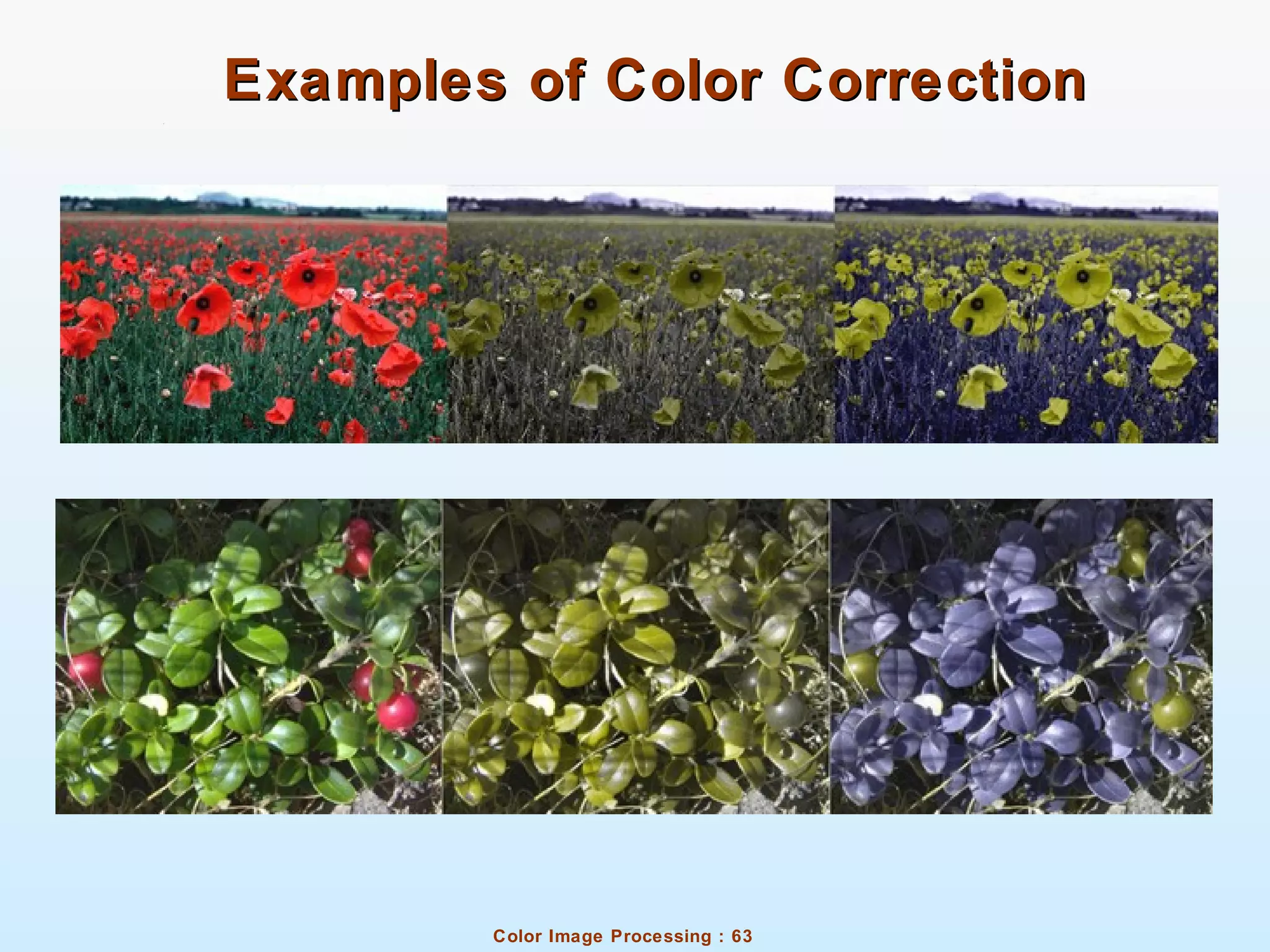 Color Image Processing : 63
Examples of Color CorrectionExamples of Color Correction
 