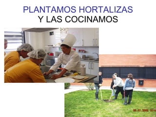 PLANTAMOS HORTALIZAS Y LAS COCINAMOS 