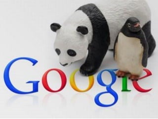 13 
Panda/Penguin : qui sont-ils? 
Première apparition : 24 avril 2012 
Fonction : nettoyer des résultats les pages poussé...