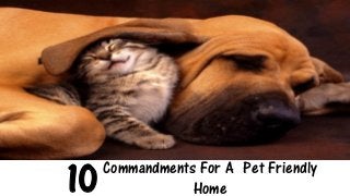 10Commandments For A Pet Friendly
Home
 