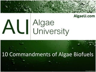 AlgaeU.com 10 Commandments of Algae Biofuels 