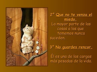 2°   Que no te venza el miedo.   La mayor parte de las cosas a las que  tememos nunca suceden.  3°   No guardes rencor.   Él es una de las cargas más pesada s  de la vida. 