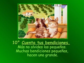 10°   Cuenta  tus bendiciones .   Más no olvides  las pequeñas. M uchas bendiciones pequeñas,  hacen una grande . 