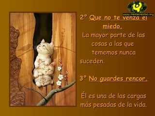 2° Que no te venza el miedo. La mayor parte de las cosas a las que tememos nunca suceden. 3° No guardes rencor. Él es una de las cargas más pesada s de la vida.