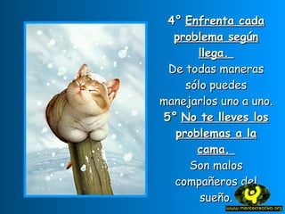 4° Enfrenta cada problema según llega. De todas maneras sólo puedes manejarlos uno a uno. 5° No te lleves los problemas a la cama. Son malos compañeros del sueño.