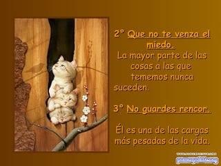 2°2° Que no te venza elQue no te venza el
miedo.miedo.
La mayor parte de lasLa mayor parte de las
cosas a las quecosas a las que
tememos nuncatememos nunca
suceden.suceden.
3°3° No guardes rencor.No guardes rencor.
Él es una de las cargasÉl es una de las cargas
más pesadamás pesadass de la vida.de la vida.
 