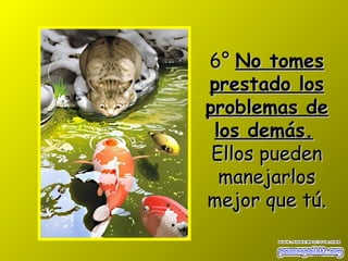 6°6° No tomesNo tomes
prestado losprestado los
problemas deproblemas de
los demás.los demás.
Ellos puedenEllos pueden
manejarlosmanejarlos
mejor que túmejor que tú..
 