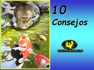 10
Consejos