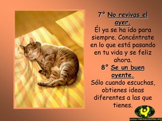 7° No revivas el
ayer.
Él ya se ha ido para
siempre. Concéntrate
en lo que está pasando
en tu vida y se feliz
ahora.
8° Se un buen
oyente.
Sólo cuando escuchas,
obtienes ideas
diferentes a las que
tienes.