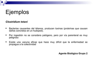 Ejemplos
Clostridium tetani
 Bacterias causantes del tétanos, producen toxinas (proteínas que causan
daños concretos en un huésped).
 Por ingestión no se considera patógeno, pero por vía parenteral es muy
peligroso
 Existe una vacuna eficaz que hace muy difícil que la enfermedad se
propague a la colectividad
Agente Biológico Grupo 2
 
