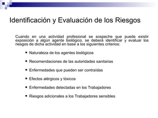 Identificación y Evaluación de los Riesgos
Cuando en una actividad profesional se sospeche que puede existir
exposición a algún agente biológico, se deberá identificar y evaluar los
riesgos de dicha actividad en base a los siguientes criterios:
 Naturaleza de los agentes biológicos
 Recomendaciones de las autoridades sanitarias
 Enfermedades que pueden ser contraídas
 Efectos alérgicos y tóxicos
 Enfermedades detectadas en los Trabajadores
 Riesgos adicionales a los Trabajadores sensibles
 