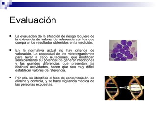 Evaluación
 La evaluación de la situación de riesgo requiere de
la existencia de valores de referencia con los que
comparar los resultados obtenidos en la medición.
 En la normativa actual no hay criterios de
valoración. La capacidad de los microorganismos
para llevar a cabo mutaciones, que modifican
sensiblemente su potencial de generar infecciones
y las grandes diferencias que presentan las
distintas actividades, hacen que sea muy difícil
establecer valores de referencia.
 Por ello, se identifica el foco de contaminación, se
elimina y controla, y se hace vigilancia médica de
las personas expuestas.
 