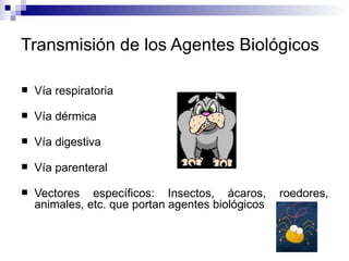 Transmisión de los Agentes Biológicos
 Vía respiratoria
 Vía dérmica
 Vía digestiva
 Vía parenteral
 Vectores específicos: Insectos, ácaros, roedores,
animales, etc. que portan agentes biológicos
 
