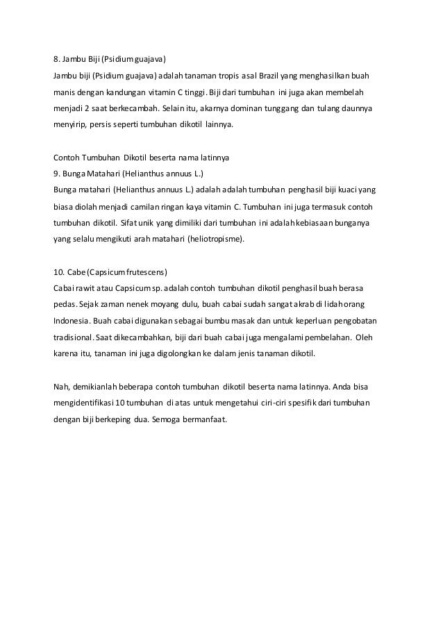 10 contoh tumbuhan dikotil 10 contoh tumbuhan dikotil