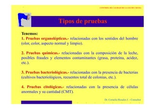 Tipos de pruebas
Tenemos:
1. Pruebas organolépticas.- relacionadas con los sentidos del hombre
(olor, color, aspecto normal y limpio).
2. Pruebas químicas.- relacionadas con la composición de la leche,
CONTROL DE CALIDAD DE LA LECHE CRUDA
Dr. Cornelio Rosales J. - Consultor
2. Pruebas químicas.- relacionadas con la composición de la leche,
posibles fraudes y elementos contaminantes (grasa, proteína, acidez,
etc.).
3. Pruebas bacteriológicas.- relacionadas con la presencia de bacterias
(cultivos bacteriológicos, recuentos total de colonias, etc.).
4. Pruebas citológicas.- relacionadas con la presencia de células
anormales y su cantidad (CMT).
 