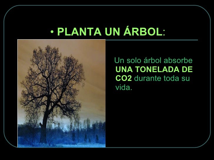 10 Cosas Para Evitar Calentamiento Global