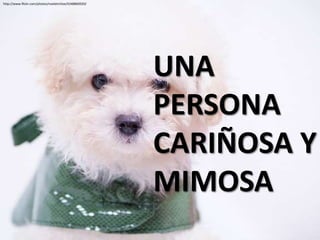 http://www.flickr.com/photos/noeletchloe/4348860920/




                                                       UNA
                                                       PERSONA
                                                       CARIÑOSA Y
                                                       MIMOSA
 
