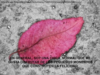 http://www.flickr.com/photos/victornuno/756059533/sizes/o/in/photostream/




       EN GENERAL, SOY UNA CHICA NORMAL QUE ME
      GUSTA DISFRUTAR DE LOS PEQUEÑOS MONENTOS
             QUE CONSTRUYEN LA FELICIDAD.
 