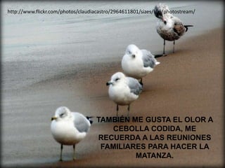 http://www.flickr.com/photos/claudiacastro/2964611801/sizes/l/in/photostream/




                         TAMBIÉN ME GUSTA EL OLOR A
                             CEBOLLA CODIDA, ME
           TAMBIÉN ME GUSTA LA OLOR A CEBOLLA
                         RECUERDA A LAS REUNIONES
          COCIDA, ME RECUERDA A LAS RUUNIONES LA
                          FAMILIARES PARA HACER
           FLAMILIARES PARA HACER LA MATANZA.
                                  MATANZA.
 