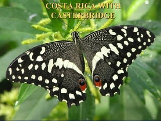 COSTA RICA WITHCOSTA RICA WITH
CASTERBRIDGECASTERBRIDGE
 