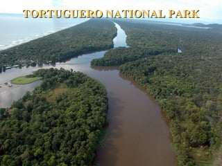 TORTUGUERO NATIONAL PARKTORTUGUERO NATIONAL PARK
 