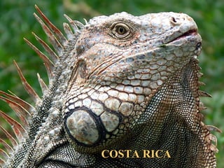 COSTA RICACOSTA RICA
 