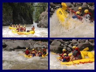 RAFTINGRAFTING
44
 
