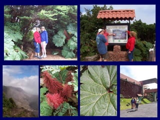 POASPOAS
SIGHTSSIGHTS
 