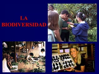 LALA
BIODIVERSIDADBIODIVERSIDAD
 