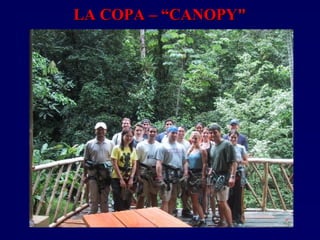 LA COPA – “CANOPY"LA COPA – “CANOPY"
 