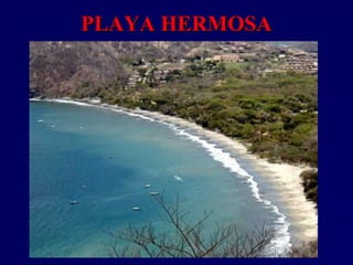 PLAYA HERMOSAPLAYA HERMOSA
 