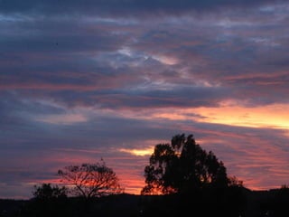 PACIFIC SUNSETPACIFIC SUNSET
 