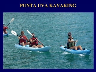 PUNTA UVA KAYAKINGPUNTA UVA KAYAKING
 