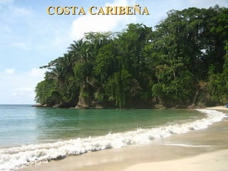 COSTA CARIBEÑACOSTA CARIBEÑA
 