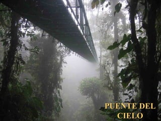 PUENTE DELPUENTE DEL
CIELOCIELO
 