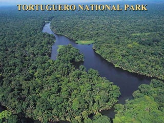 TORTUGUERO NATIONAL PARKTORTUGUERO NATIONAL PARK
 