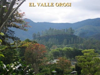 EL VALLE OROSIEL VALLE OROSI
 