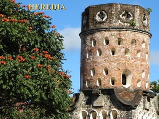 HEREDIAHEREDIA
 