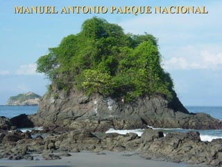 MANUEL ANTONIO PARQUE NACIONALMANUEL ANTONIO PARQUE NACIONAL
 