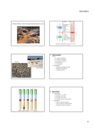 15/01/2014

Archaea acidofílica – área de mineração ácida (extração de ouro, etc.)

Fatores químicos:
O2:
Aeróbicos obrigatórios
Anaeróbicos obrigatórios
Anaeróbicos facultativos
Microaerófilos
Aerotolerantes

Vermiculita

Importância:
Rochas calcáricas

•
•
•

Respiração e produção de energia
Reações de óxido-redução
Atividade enzimática

Fatores físicos:
Temperatura:
Psicrófilos: - 5 C a 20 C
Mesófilos: 20 C a 50 C
Termófilos: 50 C a 80 C
Termófilos extremos: acima de 80 C

Importância:
•
•
•

aeróbios
obrigatórios

anaeróbios
obrigatórios

anaeróbios
facultativos

microaerófilos

anaeróbios
aerotolerantes

Altera as respostas enzimáticas
Altera as respostas a choques térmicos
Influencia na razão de crescimento

23

4

 