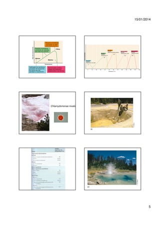 15/01/2014

Chlamydomonas nivalis

5

 