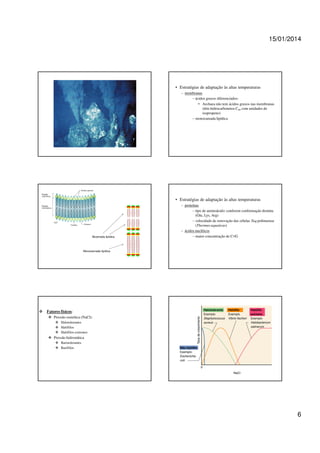 15/01/2014

• Estratégias de adaptação às altas temperaturas
– membranas
– ácidos graxos diferenciados:
• Archaea não tem ácidos graxos nas membranas
(têm hidrocarbonetos C40 com unidades de
isopropeno)
– monocamada lipídica

• Estratégias de adaptação às altas temperaturas

Bicamada lipídica

– proteínas
– tipo de aminoácido: conferem conformação distinta
(Glu, Lys, Arg)
– velocidade de renovação das células Taq polimerase
(Thermus aquaticus)
– ácidos nucléicos
– maior concentração de C≡G

Monocamada lipídica

Fatores físicos:
Pressão osmótica (NaCl):
Halotolerantes
Halófilos
Halófilos extremos

Pressão hidrostática
Barotolerantes
Barófilos

6

 