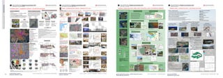 12 13
form,
content,
context
|
WORKING
community centers: SELİN DOĞANAY | ELVİN SENA GÖKYÜREK
finland/ helsinki, oodi
administrative center: ELİF S. SARI | AYÇA Y. SARITAŞ | MİRAÇ Y. UÇAR
denver city hall
green industrial zones, small industrial zones SILA GÜLTEKİN | LANA NASSER
kalundborg symbiosis
tourism facilities ZEYNEP AKAR | FEYZA BÜR
aquahouse spa hotel
 